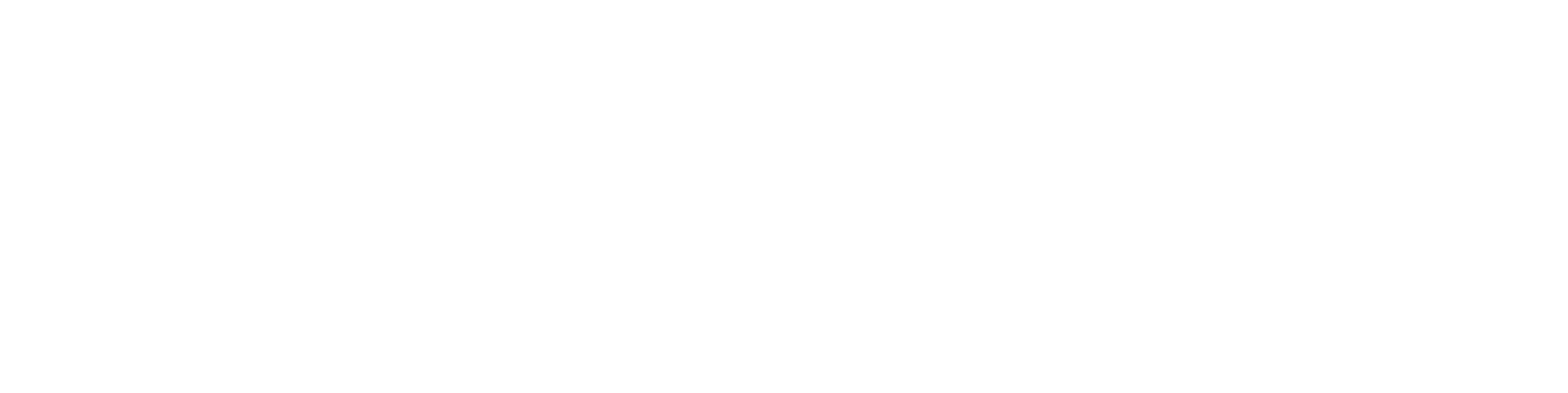 Enso Logo